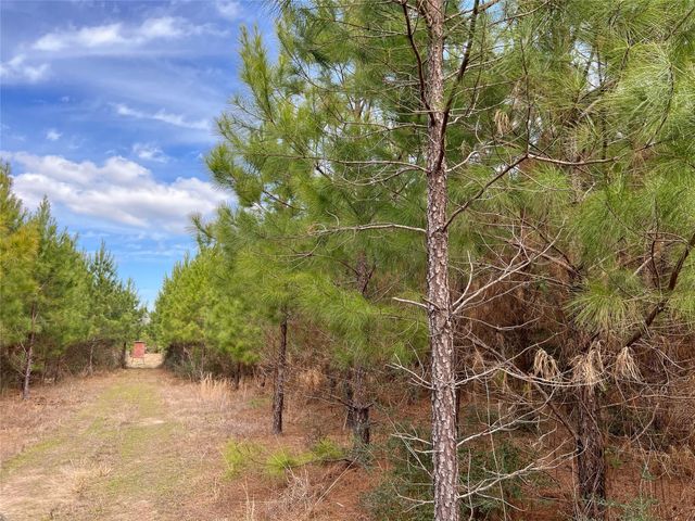 0000000 Fm 1746, Town Bluff, TX 77660