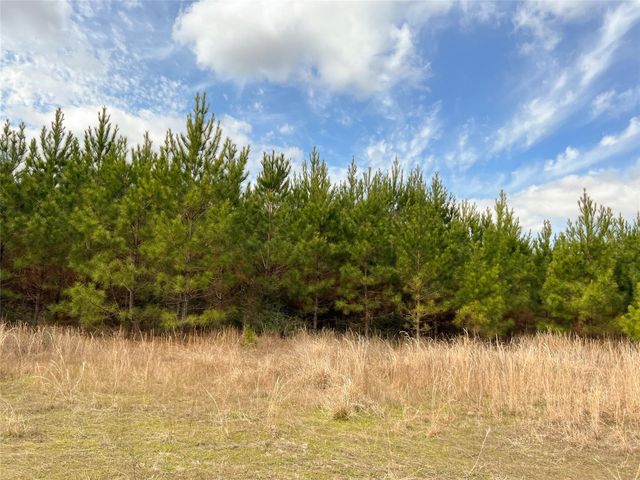 0000000 Fm 1746, Town Bluff, TX 77660