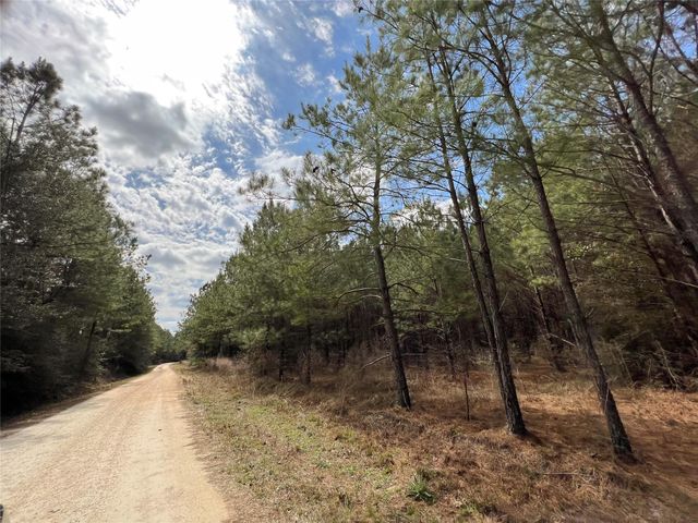 0000000 Fm 1746, Town Bluff, TX 77660