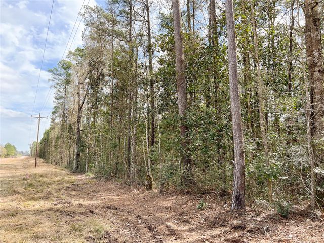 0000000 Fm 1746, Town Bluff, TX 77660