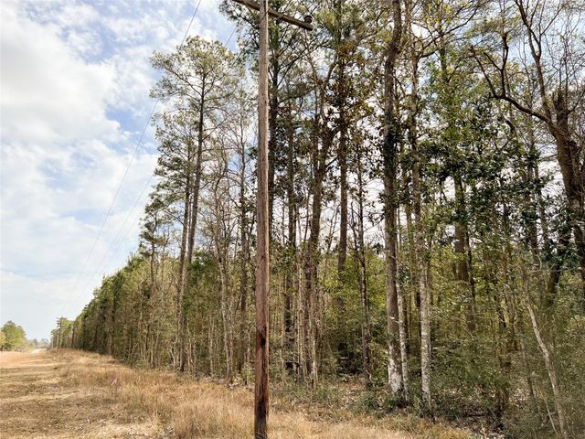 0000000 Fm 1746, Town Bluff, TX 77660