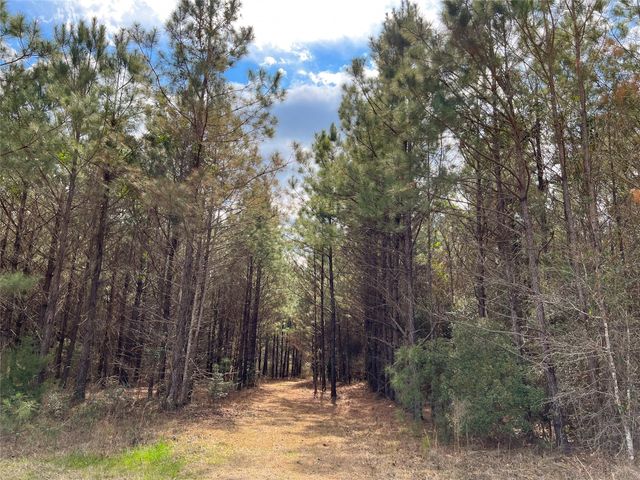 0000000 Fm 1746, Town Bluff, TX 77660