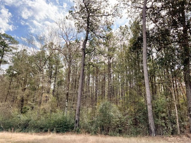 0000000 Fm 1746, Town Bluff, TX 77660