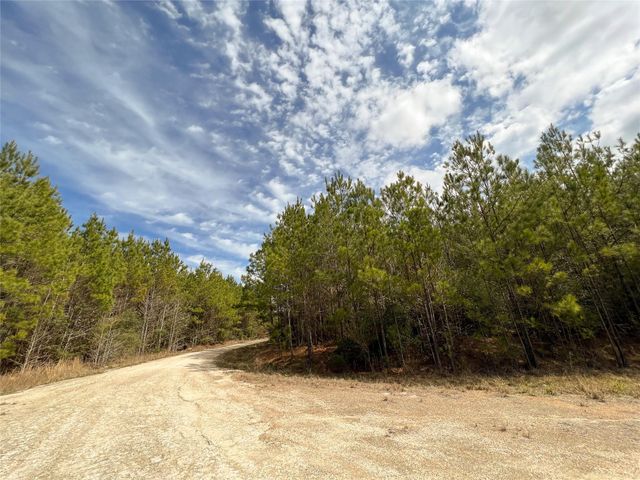 0000000 Fm 1746, Town Bluff, TX 77660