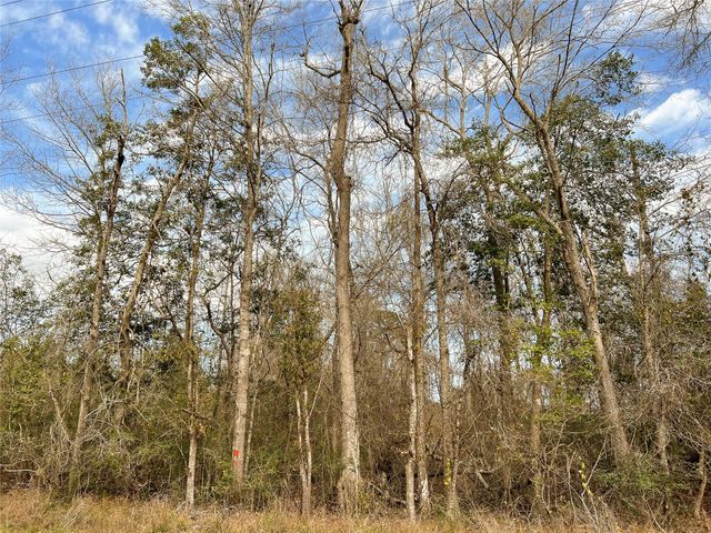 0000000 Fm 1746, Town Bluff, TX 77660