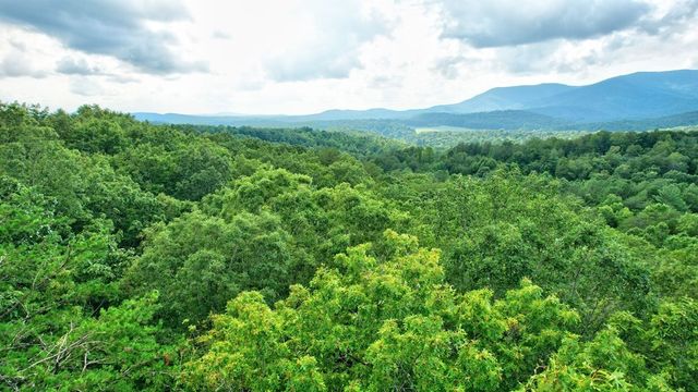 LT J349 Mountain View Court, Ellijay, GA 30540