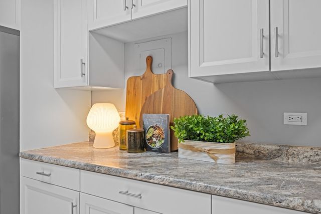 2924 Roberts Drive 8, Woodridge, IL 60517