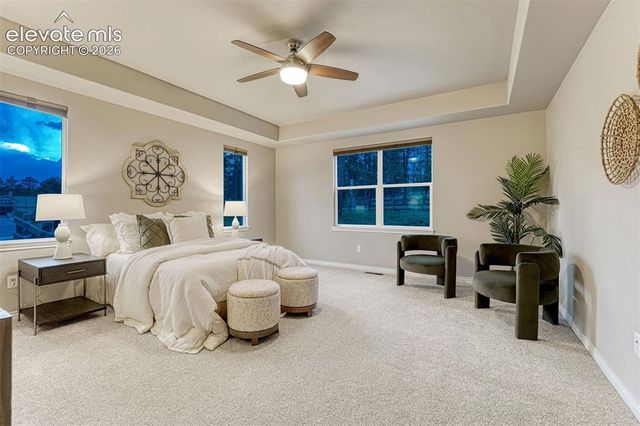 1706 Catnap Lane, Monument, CO 80132