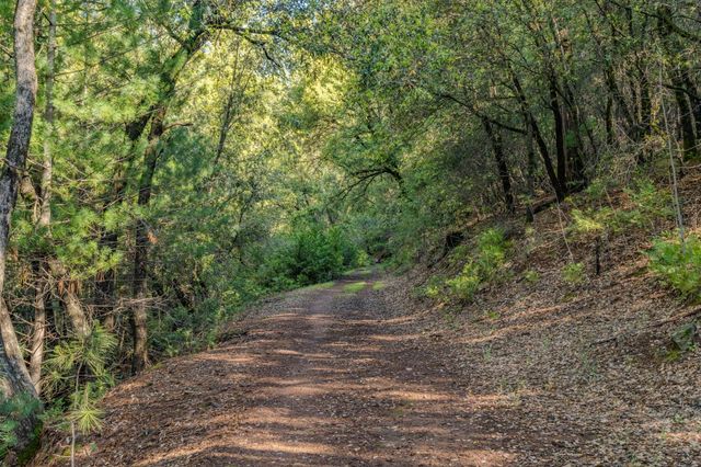 12511 Tabeaud Rd, Pine Grove, CA 95665