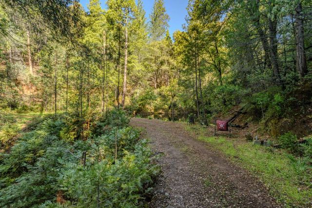 12511 Tabeaud Rd, Pine Grove, CA 95665
