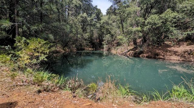 12511 Tabeaud Rd, Pine Grove, CA 95665