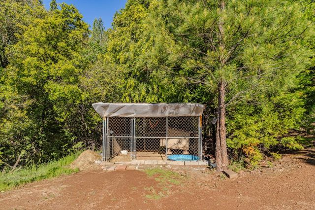 12511 Tabeaud Rd, Pine Grove, CA 95665