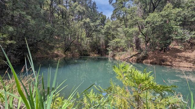 12511 Tabeaud Rd, Pine Grove, CA 95665
