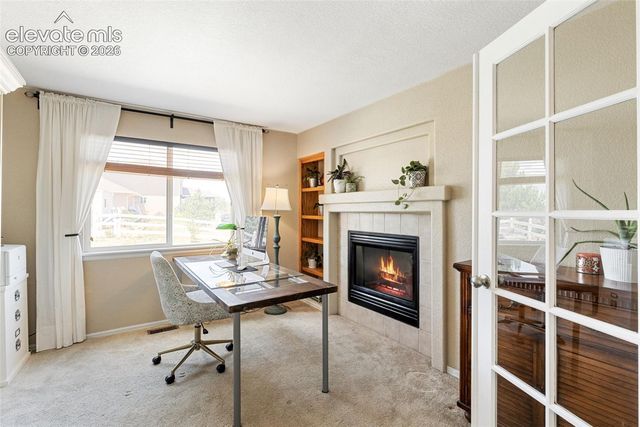 8309 Ivory Loop, Peyton, CO 80831
