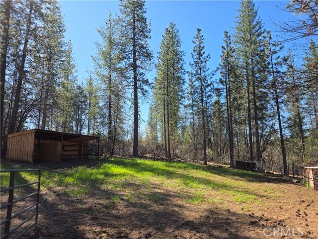 1151 Gorley Lane, Mokelumne Hill, CA 95245