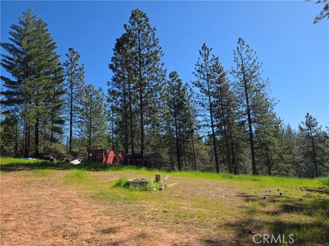 1151 Gorley Lane, Mokelumne Hill, CA 95245