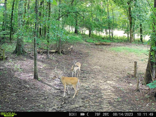 2541 Mooresville Hwy, Lewisburg, TN 37091