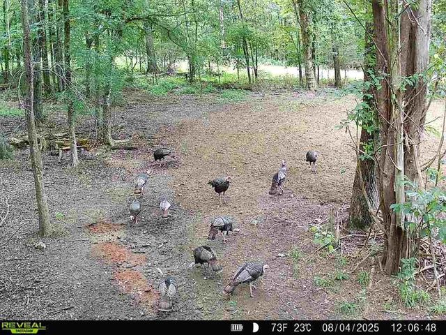 2541 Mooresville Hwy, Lewisburg, TN 37091