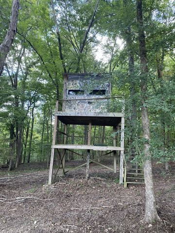 2541 Mooresville Hwy, Lewisburg, TN 37091