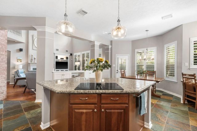 15 Monet Bend Place, The Woodlands, TX 77382