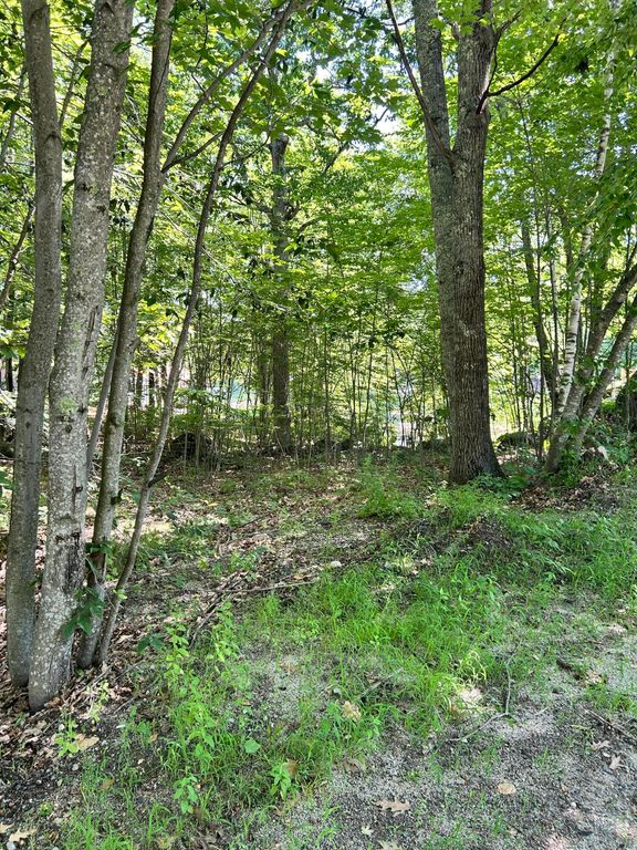 0 Poor Farm Road, Lyman, ME 04002 — photo 2