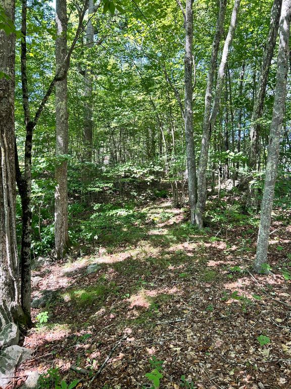 0 Poor Farm Road, Lyman, ME 04002 — photo 4