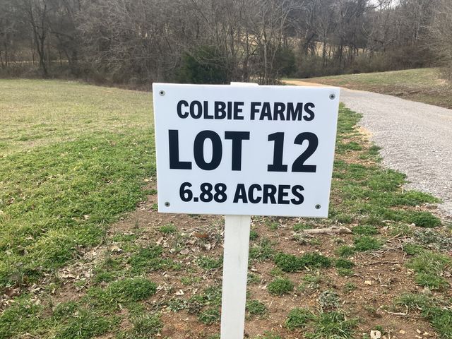 12 Booker Ridge RD, Mount Pleasant, TN 38474