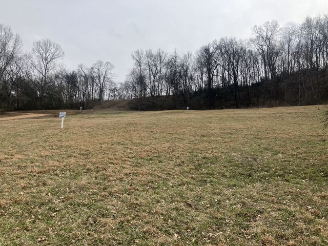 12 Booker Ridge RD, Mount Pleasant, TN 38474