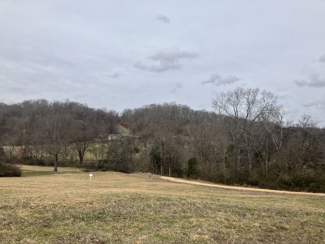 12 Booker Ridge RD, Mount Pleasant, TN 38474