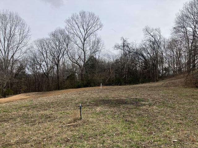 12 Booker Ridge RD, Mount Pleasant, TN 38474