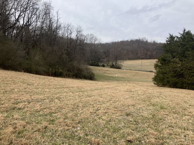 12 Booker Ridge RD, Mount Pleasant, TN 38474