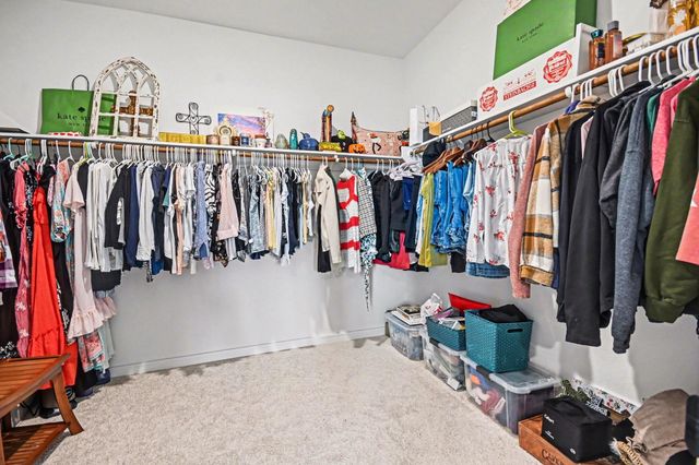 15311 Laurel Oak Lane, Santa Fe, TX 77517