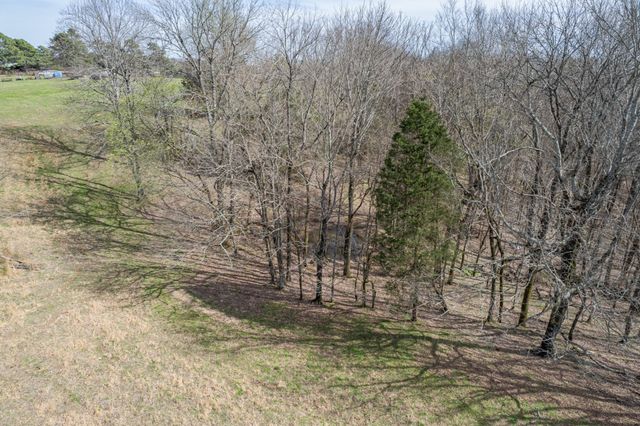 2675 Red Nix Rd, Cornersville, TN 37047