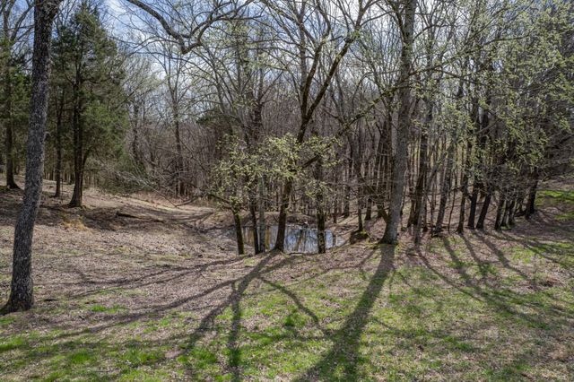 2675 Red Nix Rd, Cornersville, TN 37047