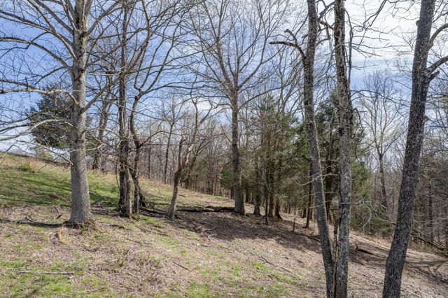 2675 Red Nix Rd, Cornersville, TN 37047