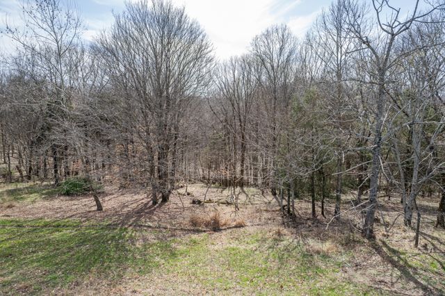 2675 Red Nix Rd, Cornersville, TN 37047