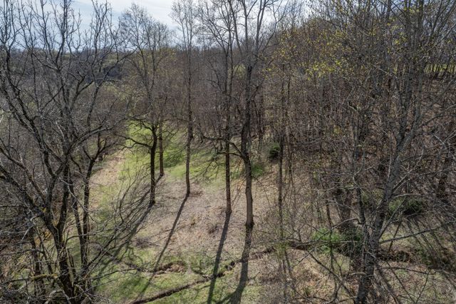 2675 Red Nix Rd, Cornersville, TN 37047