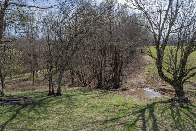 2675 Red Nix Rd, Cornersville, TN 37047