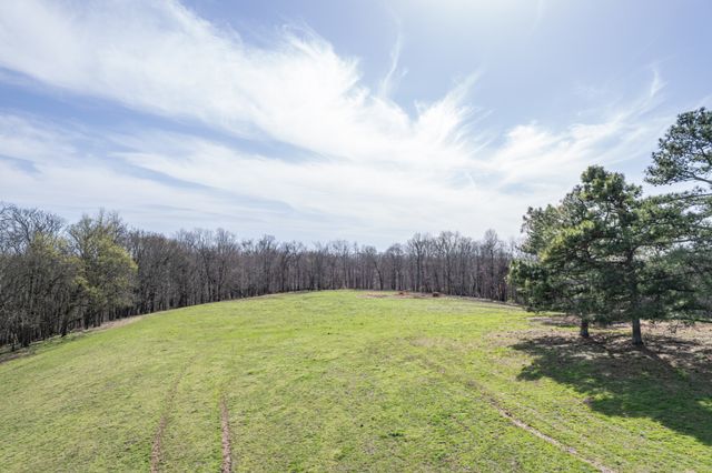2675 Red Nix Rd, Cornersville, TN 37047