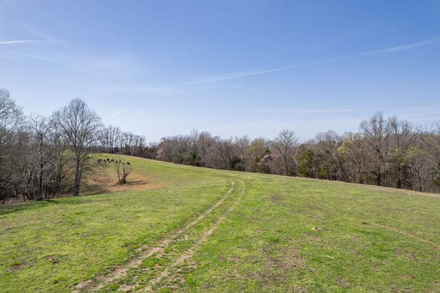 2675 Red Nix Rd, Cornersville, TN 37047