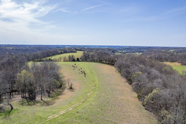 2675 Red Nix Rd, Cornersville, TN 37047