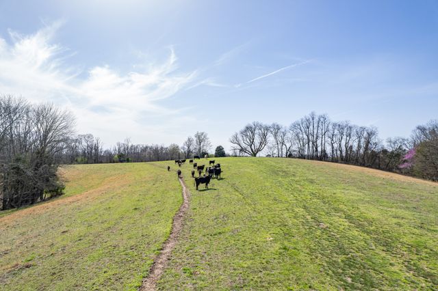 2675 Red Nix Rd, Cornersville, TN 37047