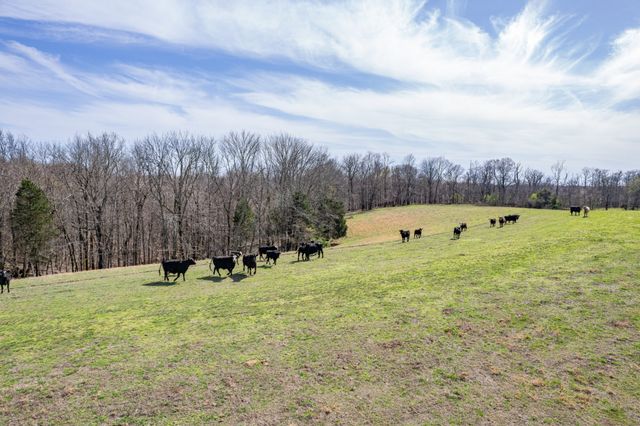 2675 Red Nix Rd, Cornersville, TN 37047