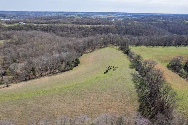 2675 Red Nix Rd, Cornersville, TN 37047