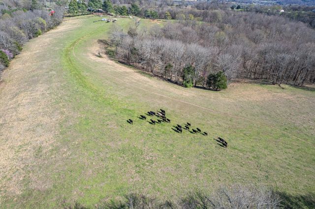 2675 Red Nix Rd, Cornersville, TN 37047