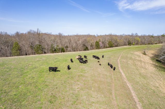 2675 Red Nix Rd, Cornersville, TN 37047