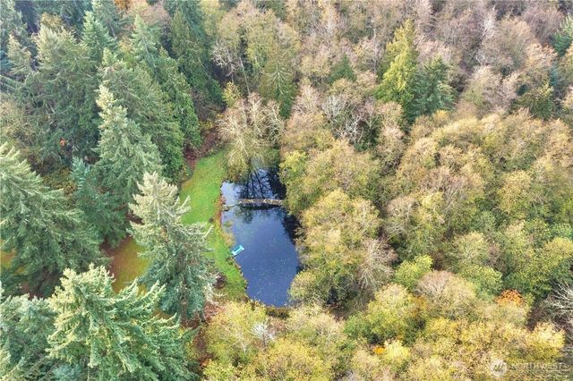 24124 94th Avenue E, Graham, WA 98338