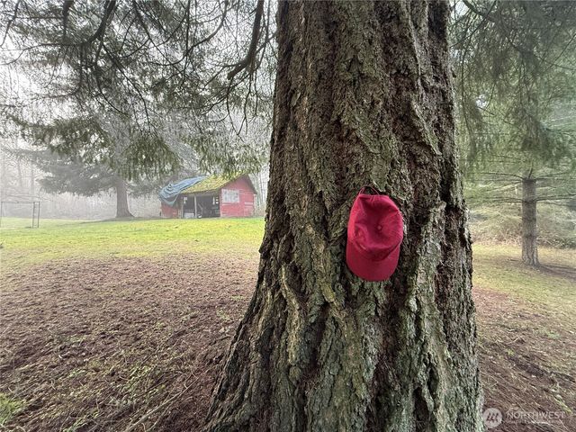 24124 94th Avenue E, Graham, WA 98338