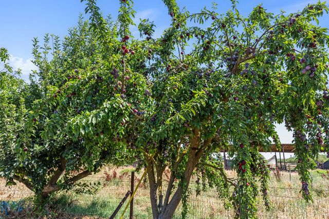 7620 E Grayson Rd, Hughson, CA 95326