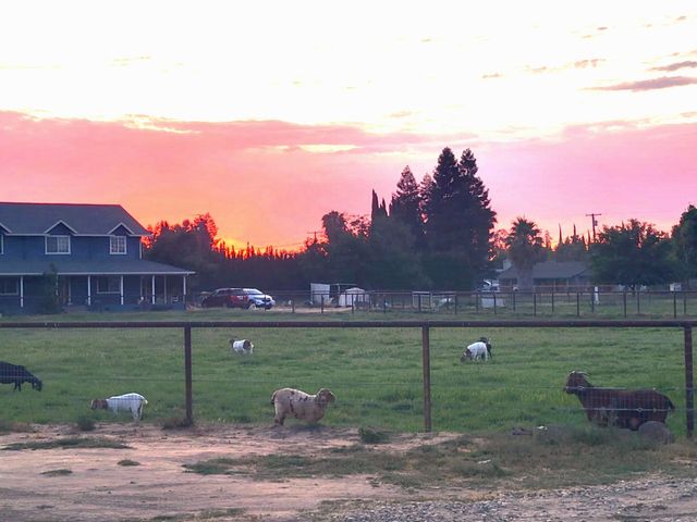 7620 E Grayson Rd, Hughson, CA 95326